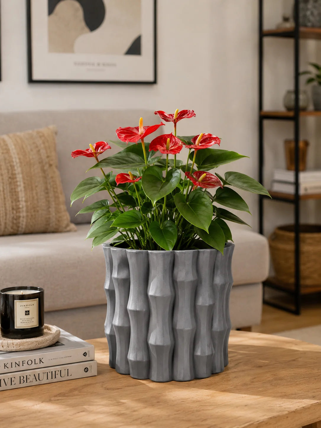 Gri Bambu dekoratif beton saksı, antoryum çiçeğiyle modern salon dekorasyonu