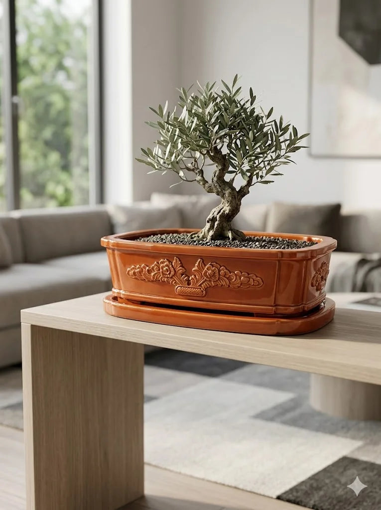 Turuncu Bonsai dekoratif beton saksı, bonsai ağacıyla sıcak modern dekorasyon
