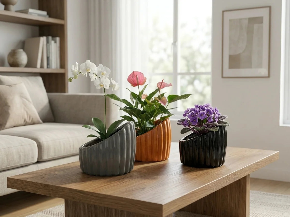 Harmoni dekoratif beton saksı, bitkilerle modern salon kompozisyonu
