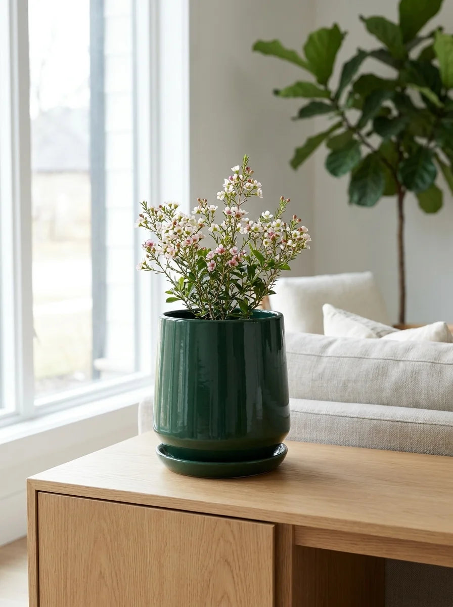 Kiva dekoratif beton saksı, salon bitkisiyle minimalist dekorasyon