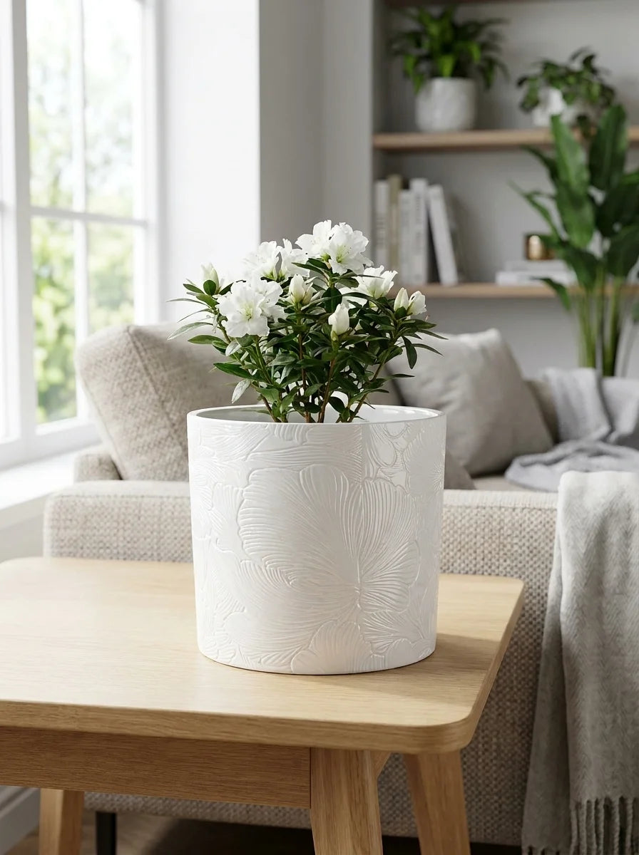 Beyaz Leana dekoratif beton saksı, minimalist iç mekân dekorasyonu
