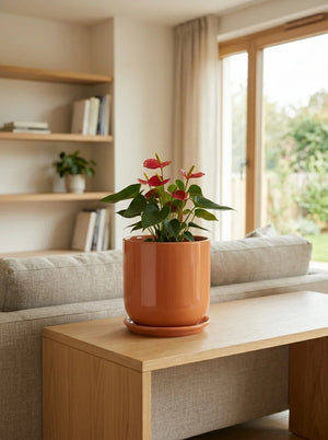 Mono - Dekoratif Beton Saksı 7.4 Lt