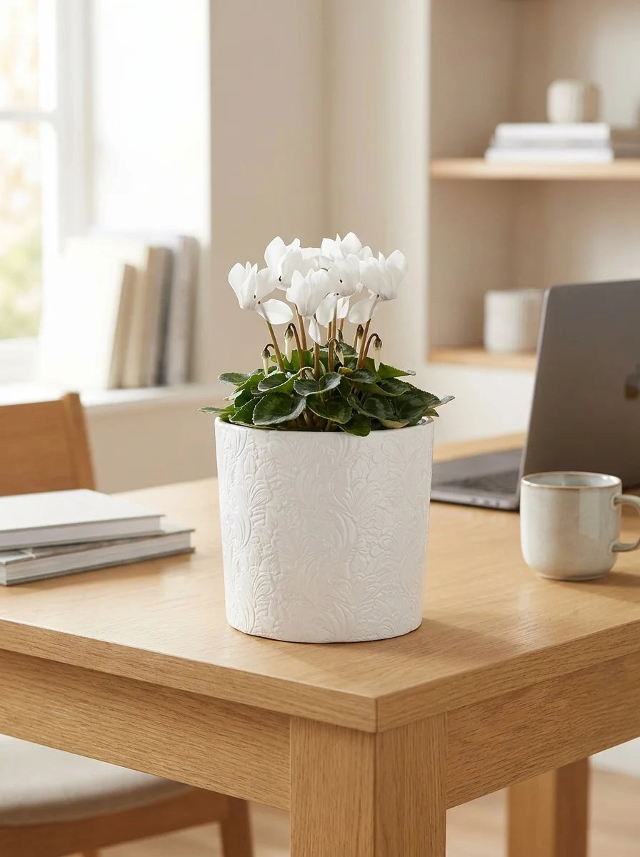 Beyaz Nerris dekoratif beton saksı, minimalist iç mekân dekorasyonu
