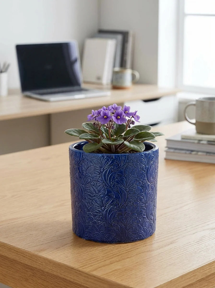 Kobalt mavi Nerris dekoratif beton saksı, modern salon dekorasyonu