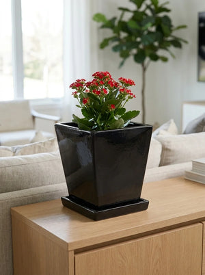 Nexa - Dekoratif Beton Saksı 6 Lt