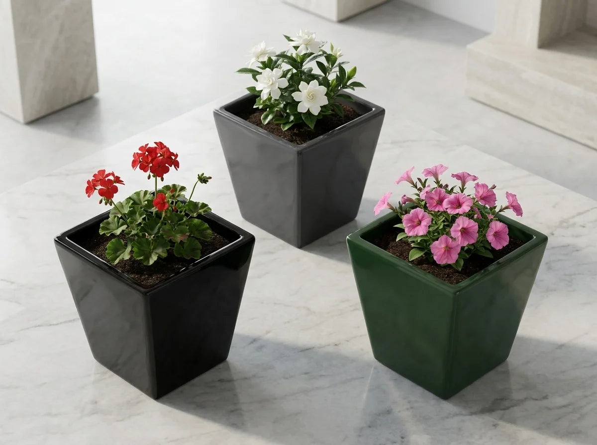 Üçlü Nexa dekoratif beton saksı kompozisyonu, modern bitki dekorasyonu