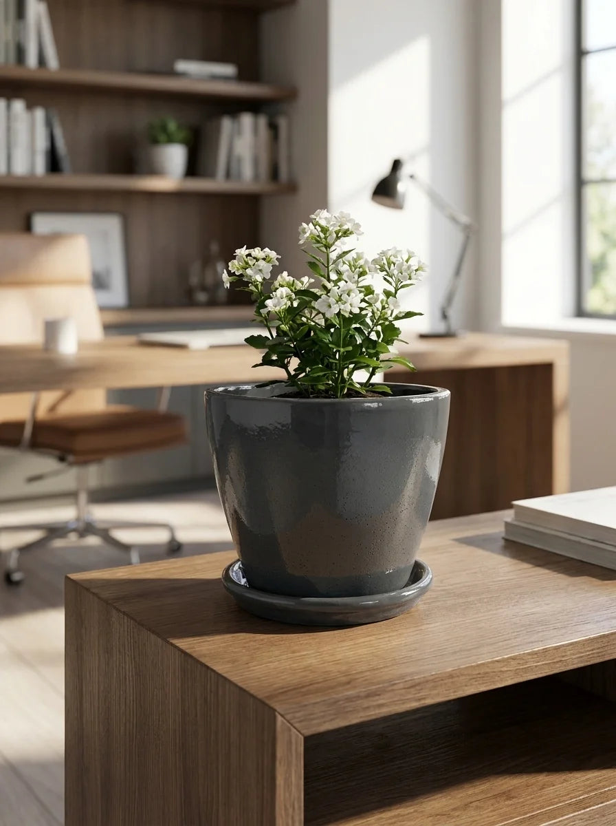 Nova dekoratif beton saksı, bitkiyle modern ofis ve salon dekorasyonu