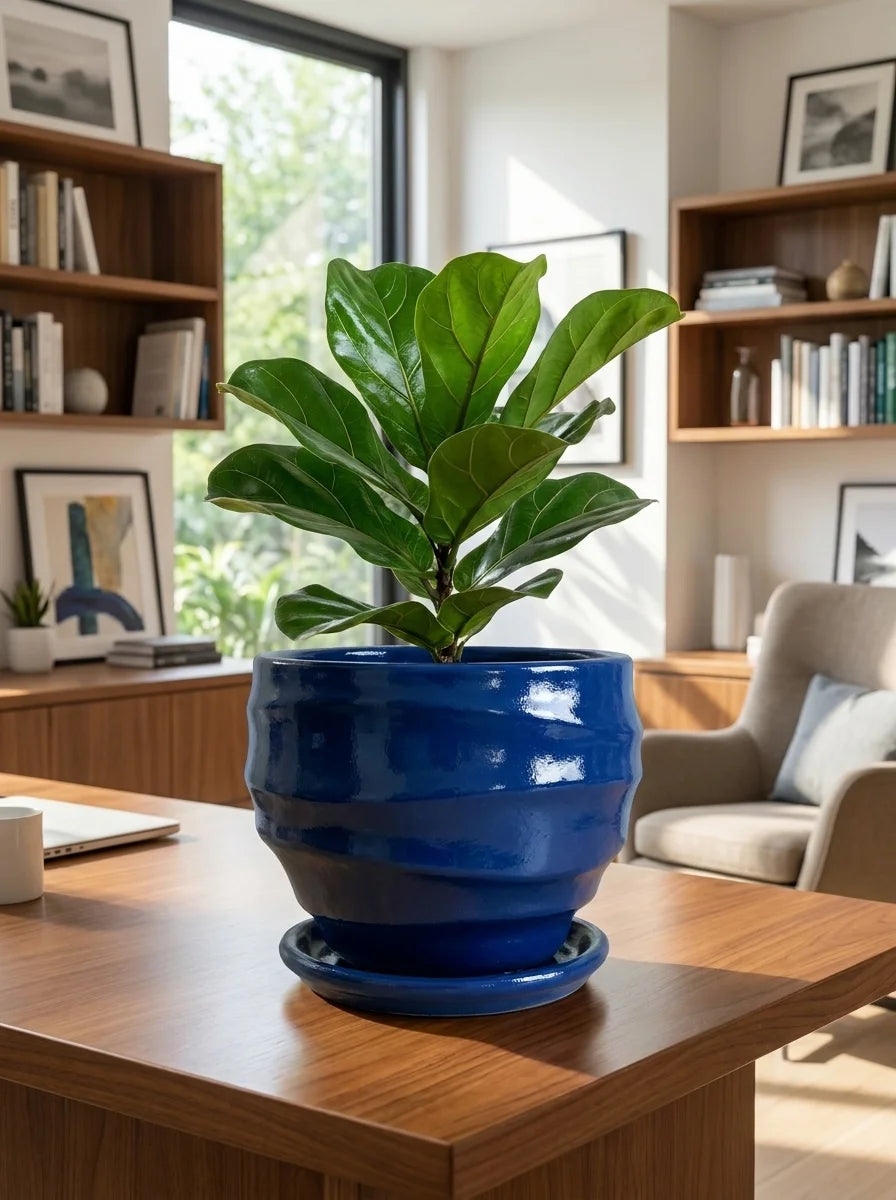 Lacivert Orin dekoratif beton saksı, modern salon dekorasyonu