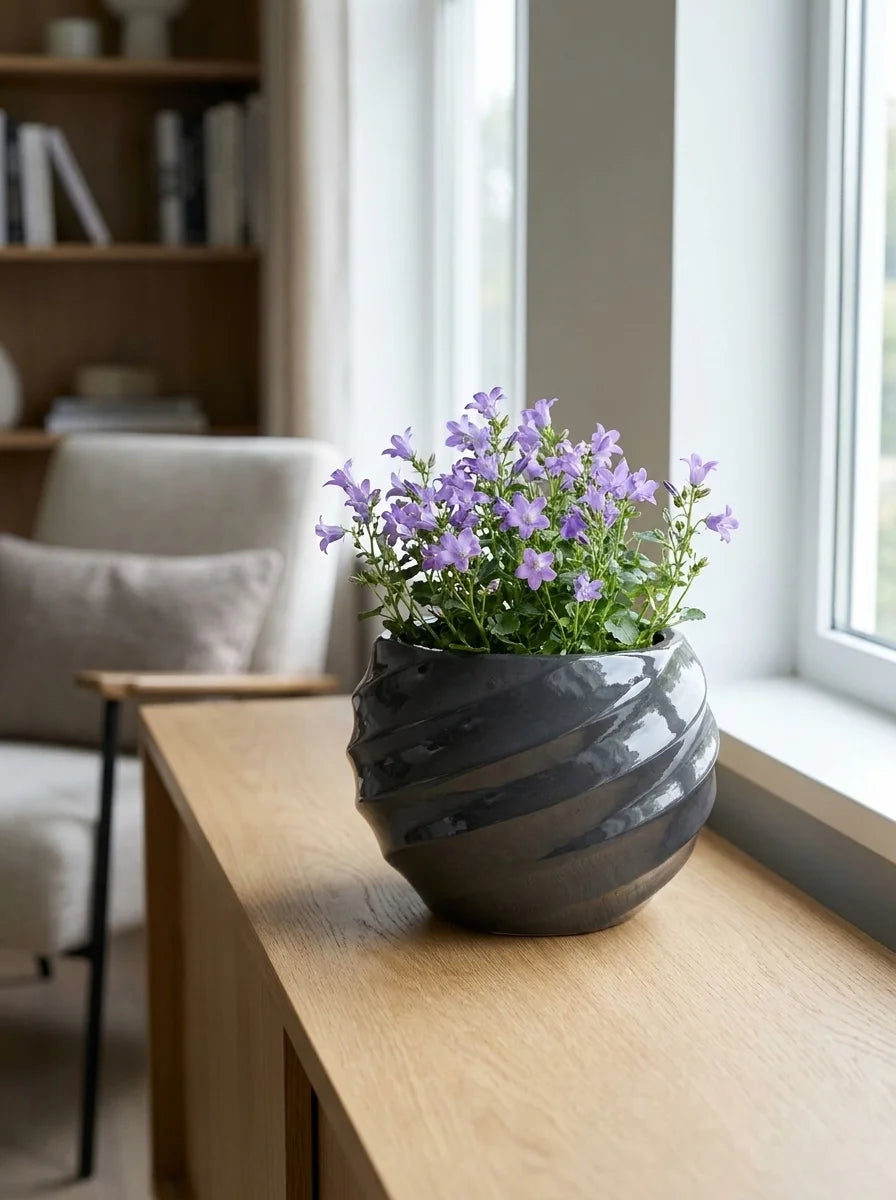Pure dekoratif beton saksı, bitkiyle modern ev dekorasyonu