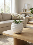 Pure dekoratif beton saksı, bitkiyle modern salon dekorasyonu