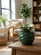 Koyu yeşil Pure dekoratif beton saksı, modern salon dekorasyonu