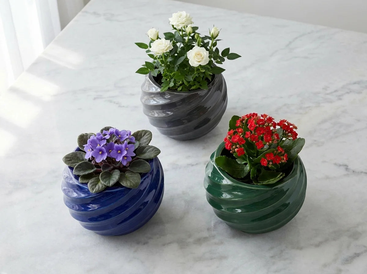Üçlü Pure dekoratif beton saksı kompozisyonu, modern iç mekân dekorasyonu