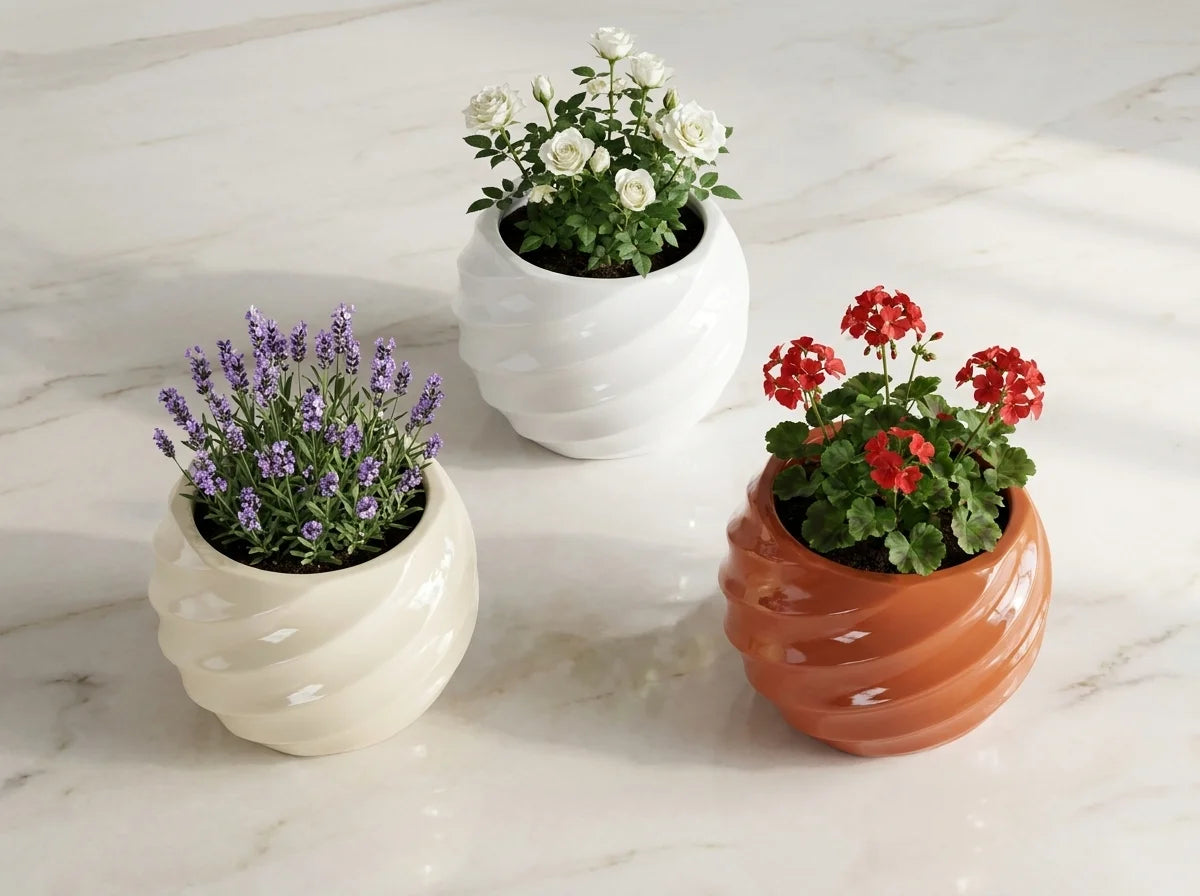 Pure beton saksı seti, üçlü bitki kompozisyonu