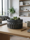 Gri Roma dekoratif beton saksı, sukulent bitkiyle modern dekorasyon