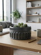Gri Roma dekoratif beton saksı, sukulent bitkiyle modern dekorasyon