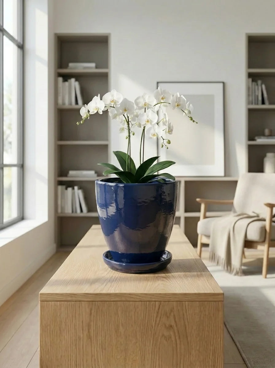 Rova dekoratif beton saksı, minimalist ev bitki dekorasyonu