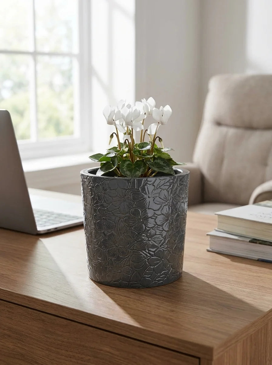 Selva dekoratif beton saksı, bitkiyle modern salon dekorasyonu