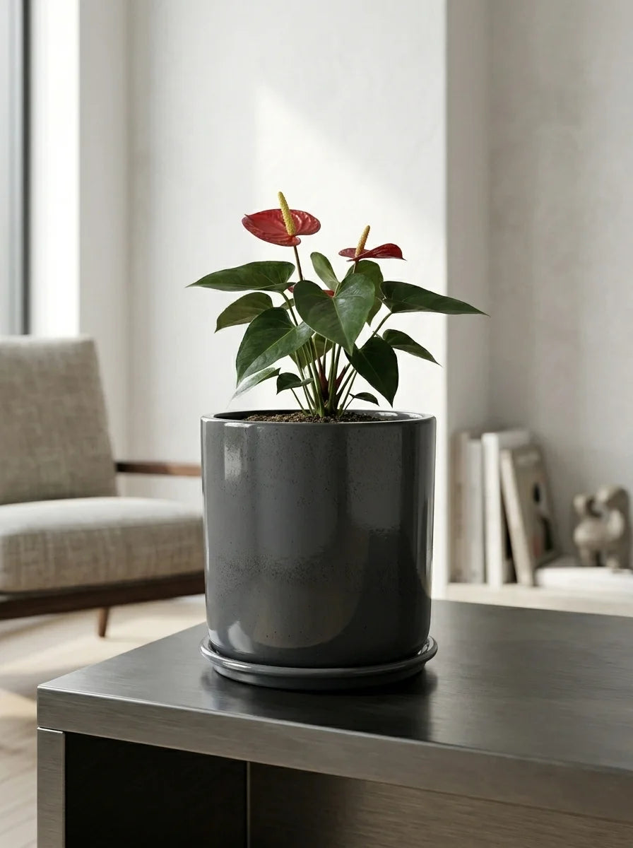Softa dekoratif beton saksı, çiçekli bitkiyle modern salon dekorasyonu