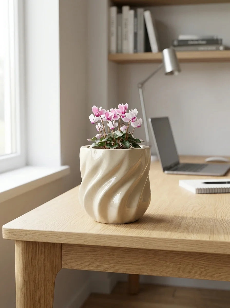 Terra dekoratif beton saksı, modern yaşam alanı bitki dekorasyonu